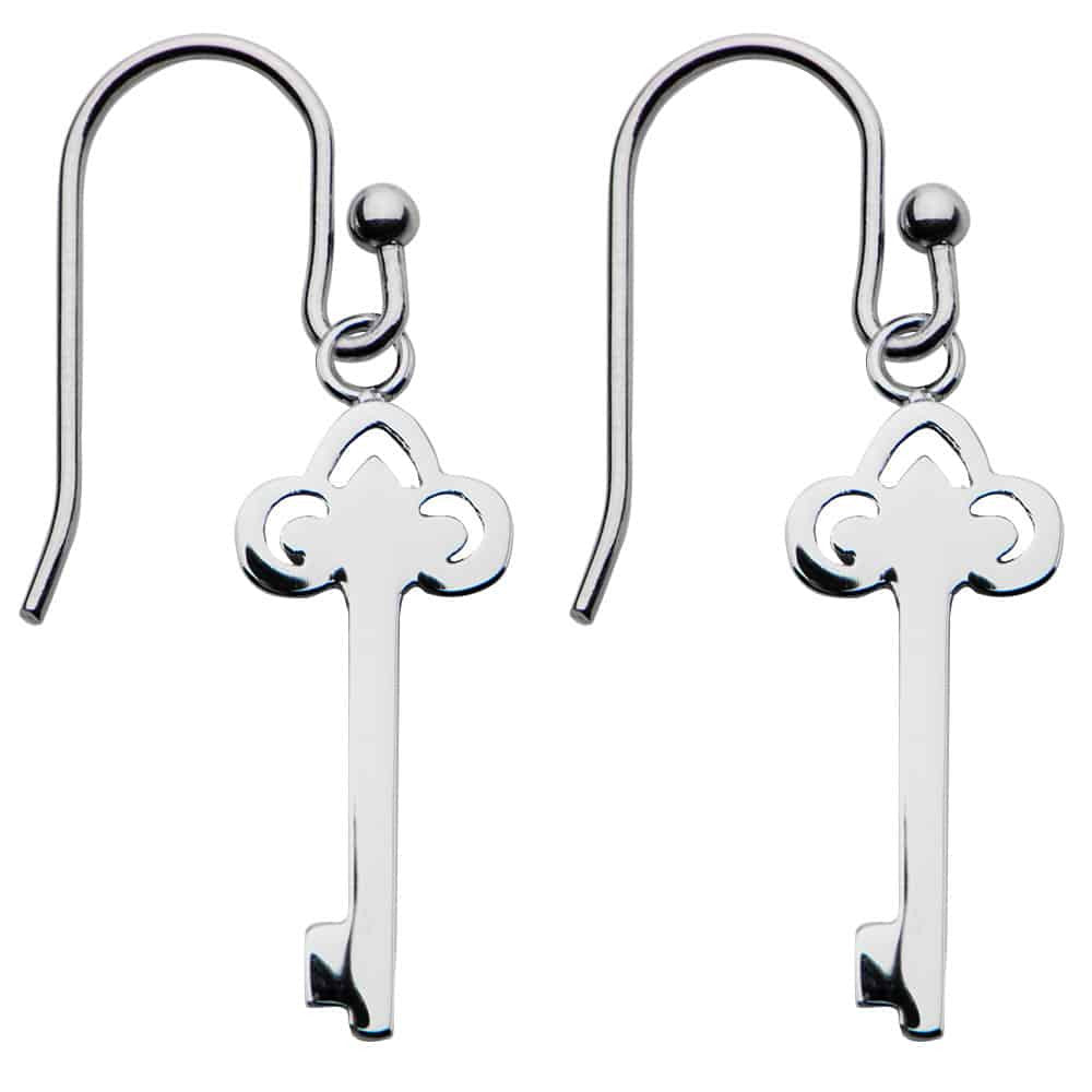 INOX Earrings: Silver | INOX-SSE4019, image size:1000x1000