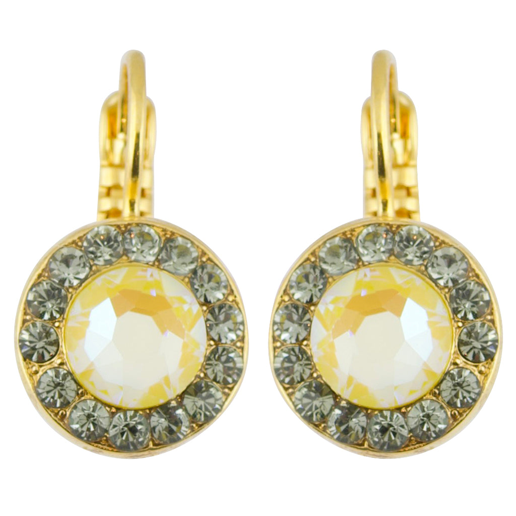 Mariana "Painted Lady" Gold Plated Petite Circle Crystal Drop Earrings