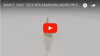 Mariana Jewelry Marilyn Silver Plated Petite Oval crystal Drop Earrings